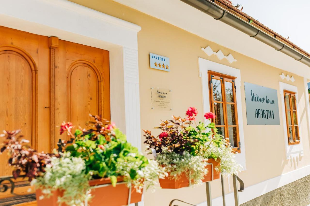 Stekner House Apartma Ljubno Εξωτερικό φωτογραφία